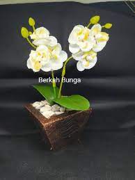 Temukan harga bunga anggrek bulan & anggrek hitam termahal per tangkai yang dijual di rawa belong dan lainya. Aggrek Mini Anggrek Artificial Anggrek Plastik Anggrek Murah Hiasan Meja Bunga Plastik Shopee Indonesia