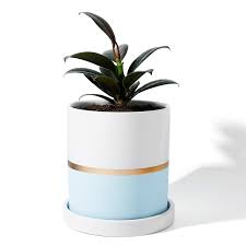 Turn your home into a greenhouse with indoor planters and pots. Indoor Plant Pots With Drainage Holes And Saucer Uk A Pictures Of Hole 2018