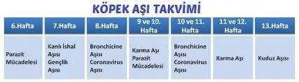 Kopek Asi Takvimi