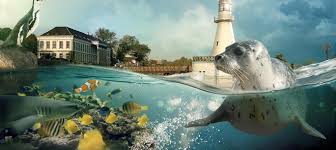Cambron By The Sea Pairi Daiza