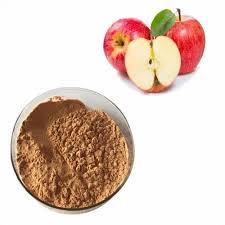 Apple Extract Powder, Packaging Type ...