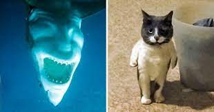 25 foto posle kotoryh vy pojmete chto eshe nikogda tak silno ne oshibalis izuchenie anglijskogo knigi anglijskij