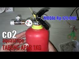 Sedangkan co2 dan lampu sangat penting untuk membantu proses fotosintesis dari tanaman. Co2 Citrum Dan Soda Dengan Tabung Mini Freon Co2 Aquascape Litetube