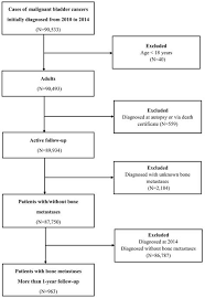 Bone Metastases Pattern In Newly Diagnosed Metastatic