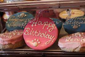 Pumpkin cream cold brew + cinnamon bun treat set. Dog Bakery For Pets Dog Cakes Treats In Tampa At Woof Gang Bakery South Tampa