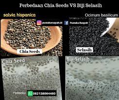 Bandingkan harga chia seed terbaru, dan temukan tutorial makeup, korean skin care, juga review chia seed terpopuler lainnya. Pustaka Ruqyah Jangan Keliru Inilah 5 Pembeda Antara Biji Selasih Dan Chia Seed Sekilas Memang Mirip Sih Kendati Kedua Jenis Biji Bijian Kaya Manfaat Ini Sering Dikonsumsi Biji Selasih Dan Chia