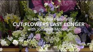 Maybe you would like to learn more about one of these? Cut Flowers Cutting And Conditioning Rhs Gardening