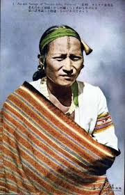 Image result for Austrosynotis