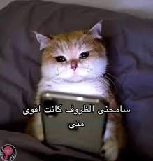 Check spelling or type a new query. Ù„Ù…Ø§ ÙˆÙ„Ø¯ Ø­Ù„Ùˆ ÙŠØ¨Ø¹ØªÙ„ÙŠ Ø§Ø¯Ø¯ Ùˆ Ø§Ø¹Ù…Ù„ Delet A Little Schizophrenia Facebook