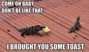 If you know your friend's sense of humor pretty well, consider cheering him or her up by sending a daily joke or funny story via text. 20 Photos That Will Always Cheer You Up Gallery