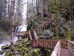 We did not find results for: A Closer Look At Mcdowell Creek Park