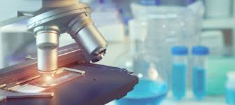 This drawing tutorial is very easy. 18 Advantages And Disadvantages Of Light Microscopes Connectus