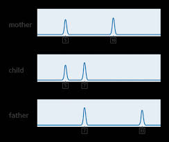 A dna paternity test is considered the gold standard by both the scientific and legal communities when it comes to accurately establishing a relationship between a possible father and a child. What Is A Dna Fingerprint Facts Yourgenome Org