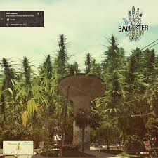 La violenta secuencia quedó registrada por una cámara de seguridad. Ballester Grow Startseite Facebook