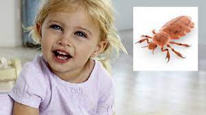 Zecken Wurmer Lause Die Haufigsten Parasiten Bei Kindern