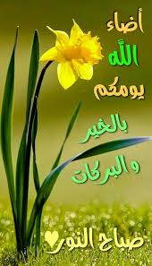 صور كلمات الصباح والتفاؤل صباح التفاؤل والأمل فوتوجرافر Beautiful Morning Messages Good Morning Roses Good Morning Arabic