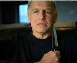 Mark Harmon Real fans