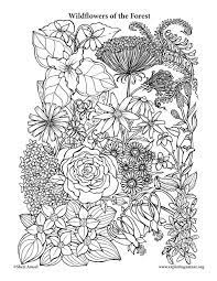 Pastures and meadows around us have been literally filled with color! Wild Flowers Coloring Pages Coloring Home