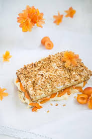 Der kuchen muss nicht nur der leckerste, sondern auch ziemlich ungewöhnlich sein. Aprikosen Kvaefjordkake Oder Der Beste Kuchen Der Welt Handmade Kultur