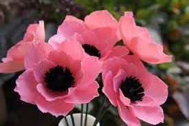 Anemone Bouquet Centerpiece Ideas Mywedding Anemone Flower Beautiful Pink Flowers Paper Flowers