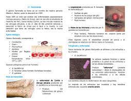 Jun 15, 2021 · quintana tiene claro que su programa no sería el formato adecuado para que ocurriese algo así: Capitulo 10 Bartonelosis 10 Bartonelosis El Nero Bartonella Se Llama As En Nombre Del Dico Peruano Alberto Barton Quien La Descubri En 1909 Hasta 1885 Se Cre Studocu