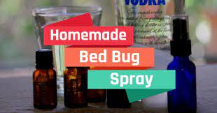 Vinegar for big bug problems How To Make Homemade Bed Bug Spray For House The Pest Hunter