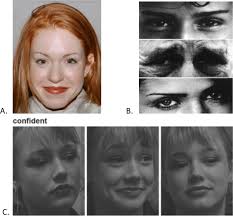 Facial expression recognition is linked to clinical and neurofunctional  differences in autism