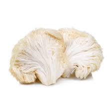 If you aren't sure how your body will react, start with a smaller dose of a lion's mane supplement, and work your way up from there. Lion S Mane Bulk Fresh Mousam Valley Mushrooms