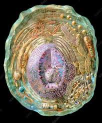 This leukemia cell is tearing itself apart by a process called apoptosis. Animal Cell Stock Image G450 0078 Science Photo Library