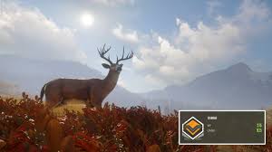 The goal of the game is to become a master hunter and the more animals that you take down the closer to this goal you become. How To Get Diamond In Thehunter Call Of The Wild Gamer Journalist