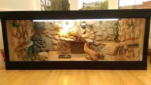 Image Result For Bearded Dragon Vivarium Bearded Dragon Bearded Dragon Vivarium Bearded Dragon Care