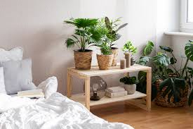 Diy Deko Idee Urban Jungle Feeling Im Schlafzimmer Die besten reinigungseigenschaften wiesen neben alpina auch die farben von schöner wohnen und obi auf.