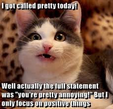 I Got Called Pretty Today Well Actually The Full Statement Was You Re Pretty Annoying But I Only Fo Funny Grumpy Cat Memes Cat Memes Clean Cat Quotes Funny