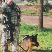 Canberk Ozaydin Adli Kullanicinin Militarizm Panosundaki Pin