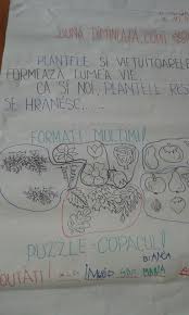 Pin By Irina Cornelia On Intalnirea De Dimineata Clasa Pregătitoare Math Education School