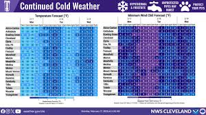 Image result for Wind Chill 2025 TX