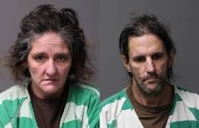 Animal Rescue League of Iowa