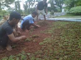 Harga rumput sintetis tipe swiss 3 cm plus jasa pasang untuk taman dan teras. Pasang Rumput Taman Navika Taman