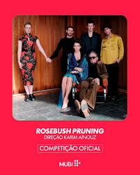 Rosebush Pruning”, novo filme de Karim Aïnouz é selecionado para o Festival  de Berlim BRASÍLIA - O cinema brasileiro segue em evidência no circuito  internacional em 2026. A organização do Festival Internacional