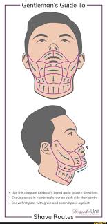 Gentlemans Guide To Use This Diagram To Identify Beard