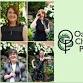 Oakwood Chamber Players event image