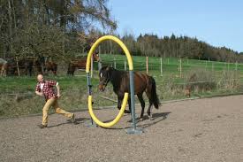 Horse agility ist ein partnersport. Unser Toller Horse Agility Tunnel Ist Fertig Trail Working Equitation Equipment Horse Agility