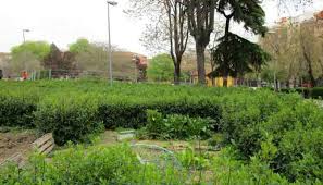 Maybe you would like to learn more about one of these? Jardines Escondidos Madrid Casino De La Reina Rutas Pangea