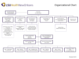Organizational Chart Louisiana State University Health
