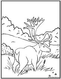 The caribou coloring pages also available in pdf file that you can download for free. Free Caribou Coloring Page Coloringbay