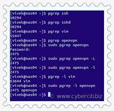 How To Check Running Process In Unix Using Command Line - Nixcraft