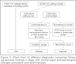 Figure 1 From Guidelines For Diagnosis And Clinical