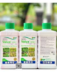 Valux 500EC
