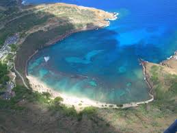 Hanauma bay snorkeling is so popular because of the wide variety of species in the bay. Hanauma Bay Wikipedia