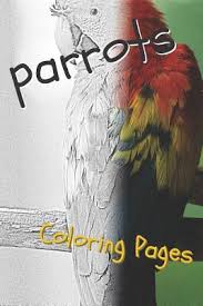 Download Parrot Coloring Pages Beautiful Parrots Drawings For Kids And For Adults Relaxation Paperback The Bookloft